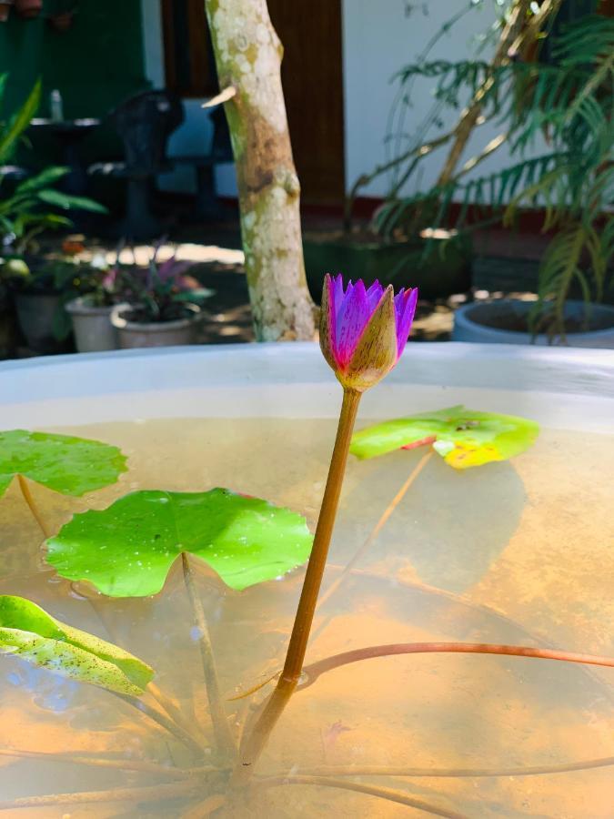 Vinu'S Place Matara Bagian luar foto